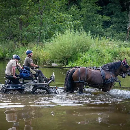 Apartment Gaume Sweet Moyen