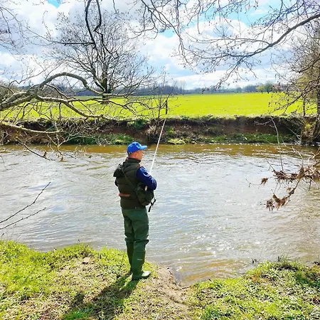 Gaume Sweet Apartment