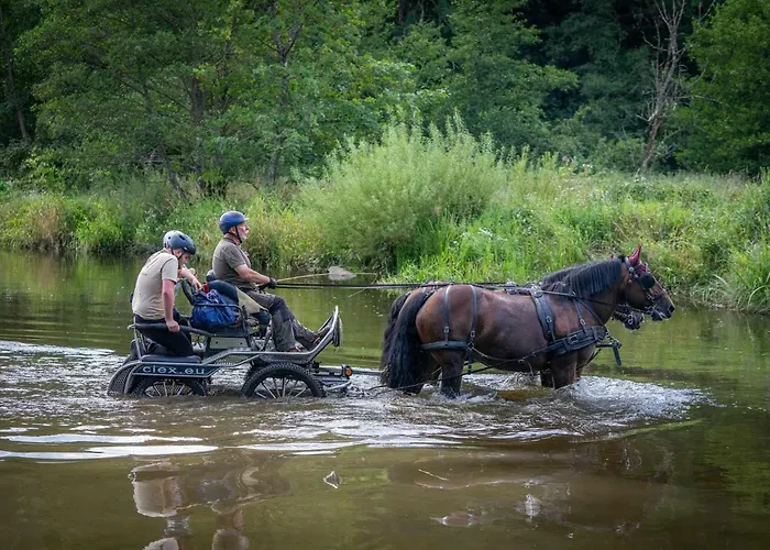 Apartment Gaume Sweet Moyen