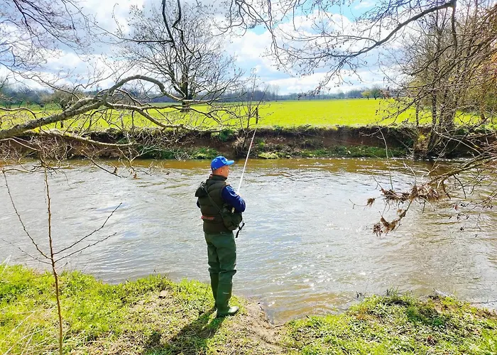 Gaume Sweet Apartment